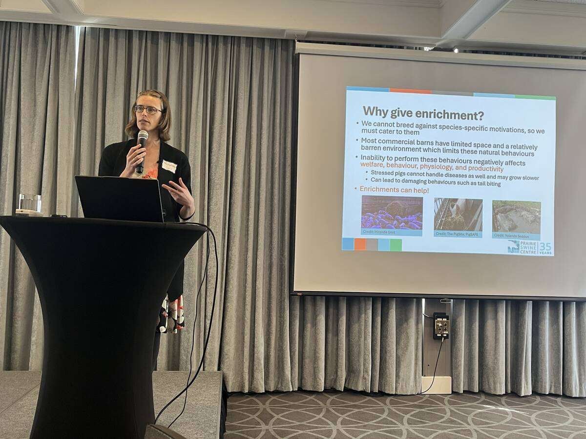 Miranda Smit, assistant manager of knowledge transfer from the Prairie Swine Centre, makes a presentation in Lethbridge, Alta. on recent studies on the benefit of enrichments on pig operations. Photo: Greg Price