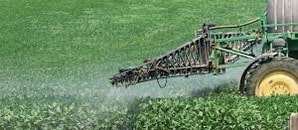 Roundup, glyphosate, herbicides, carcinogenic, going true green, weeds, getting rid of weeds, weedkiller