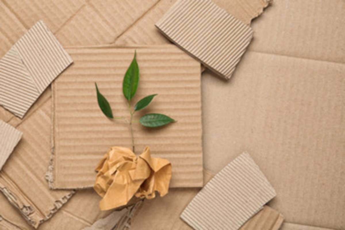 cardboard