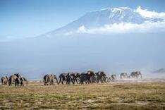 Mt. Kenya
