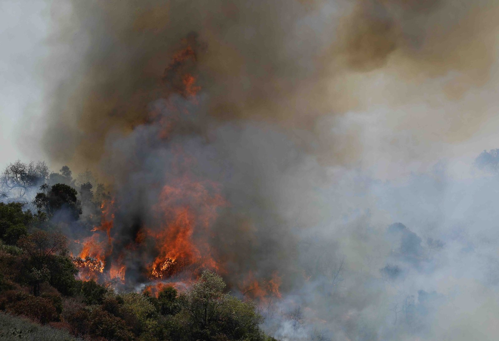 A photo of smoke engulfing a hillside with trees on fire