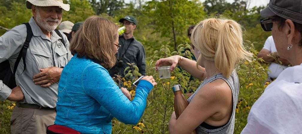 Pollinator and butterfly outing on Stone Road Alvar Nature Reserve, people observing a native bee species on Pelee Island