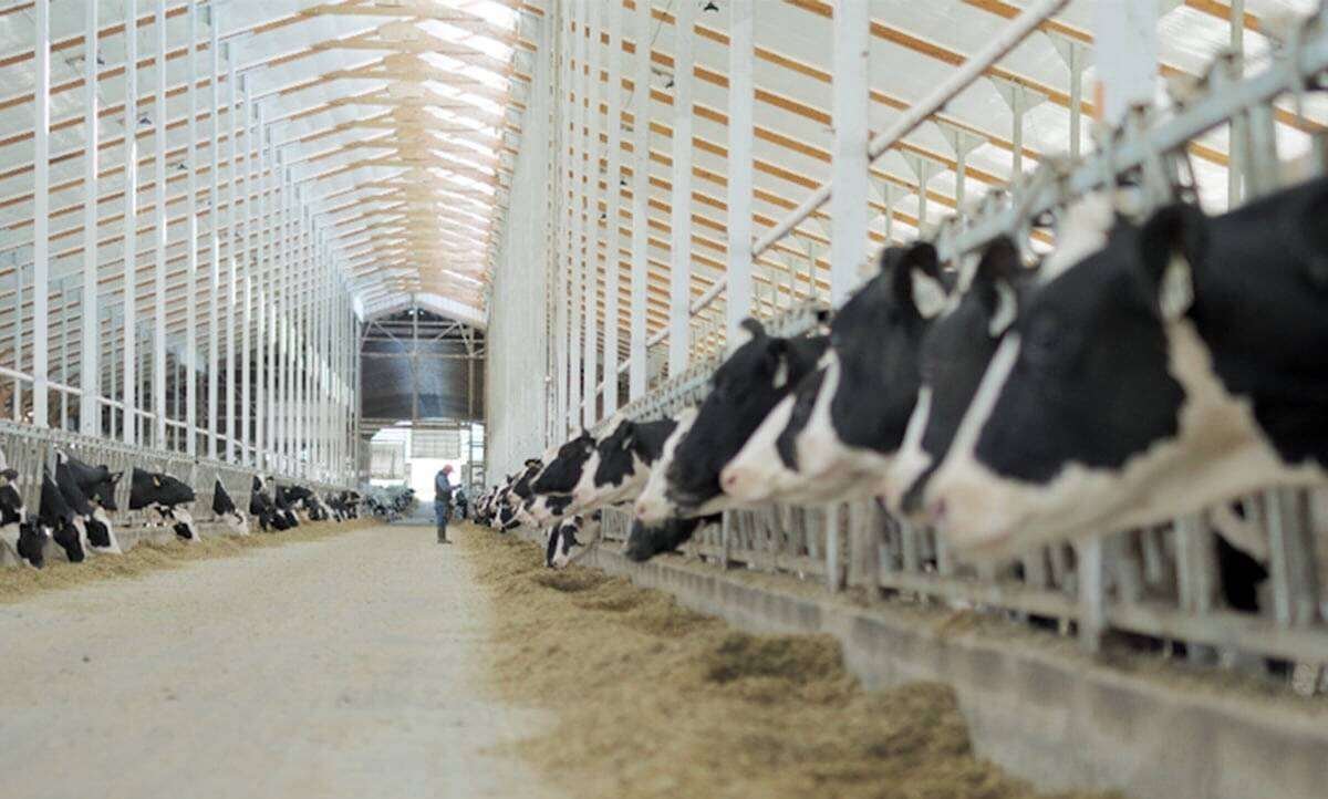 Zoetis said in a news release the acquisition “aligns directly with Zoetis’ strategy to drive future livestock innovation through genomics.” Photo: Screencap via neogen.com