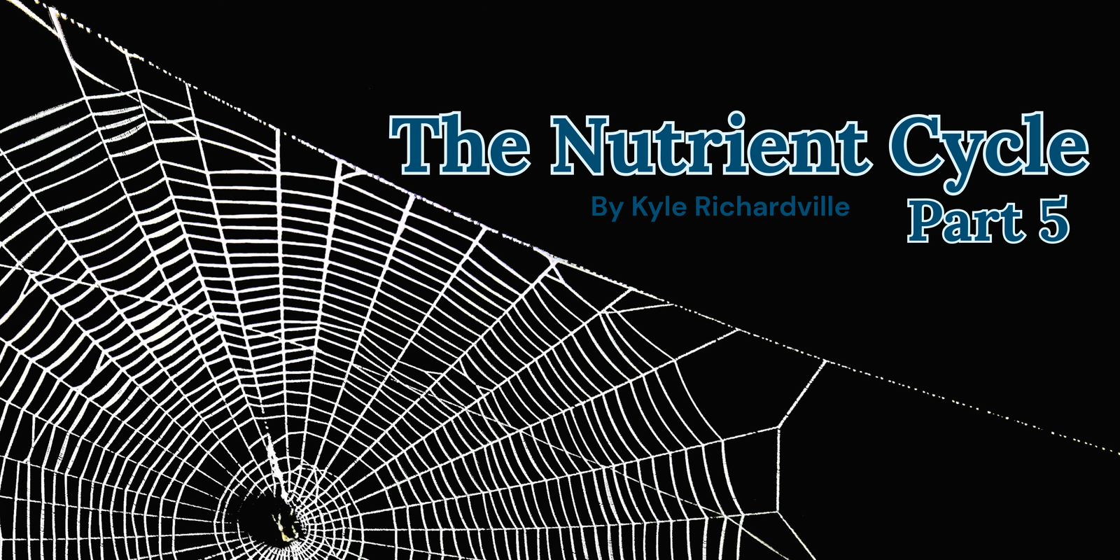 Copy of The Nutrient Cycle Pt 4