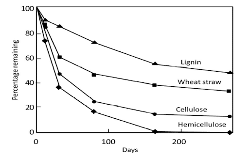 Straw breakdown