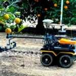Soil Bot