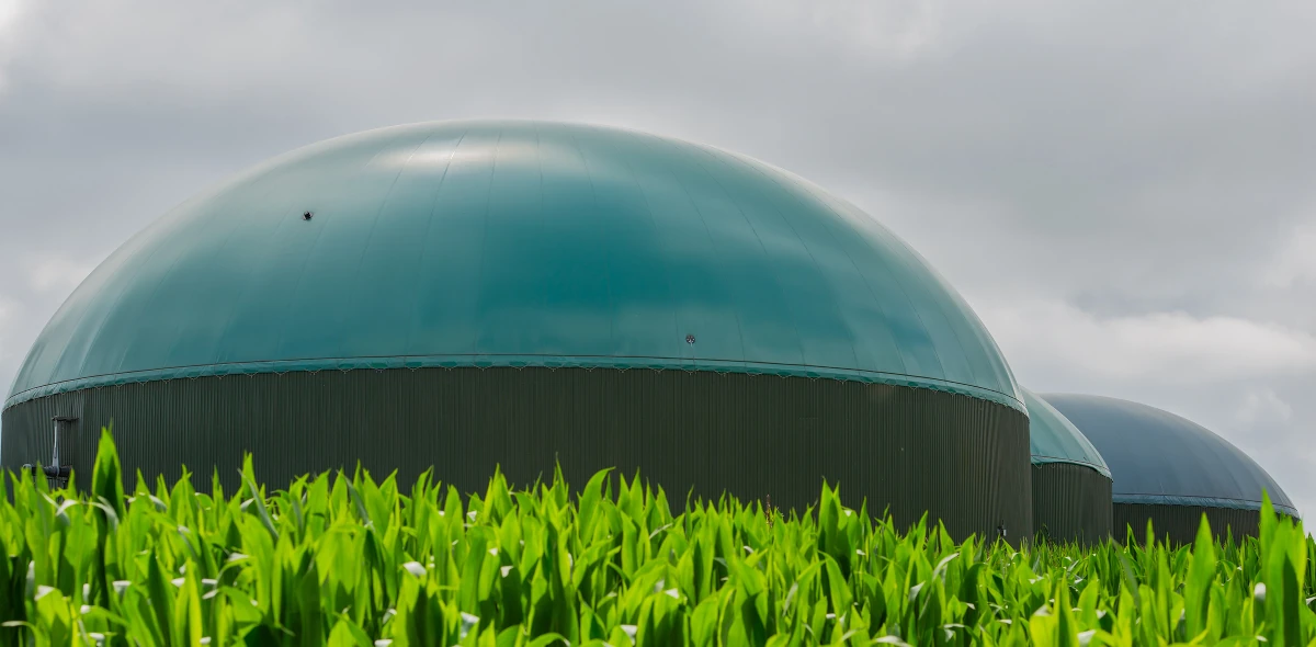 Biogas dome