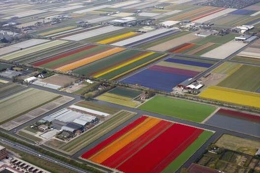 Dutch Countryside. Image via Shutterstock Dutch Countryside. Image via Shutterstock