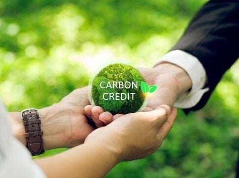 CCP-Labelled Carbon Credits Jump to 13% as Buyers Willing to Pay More for Quality