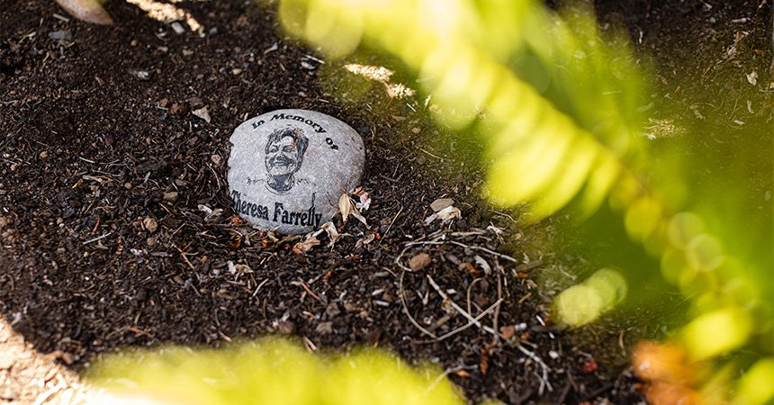 Alt text: A small memorial stone on the ground, engraved with a portrait and the name “Teresa Farrelly,” surrounded by soil, twigs, and fallen leaves.