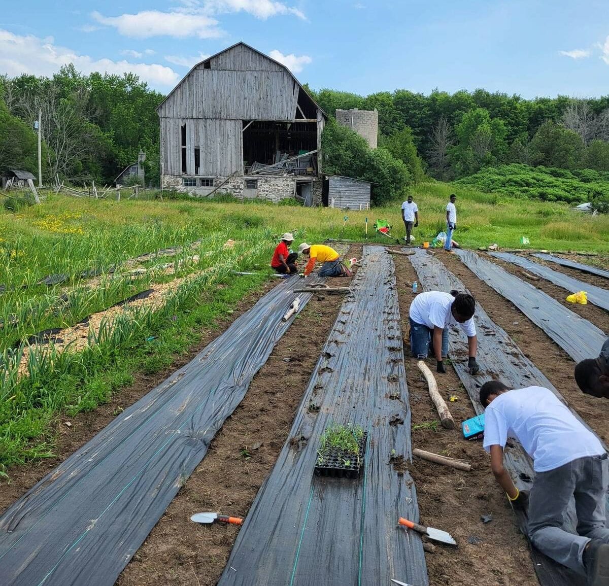 Photo supplied by Pamoja Farms