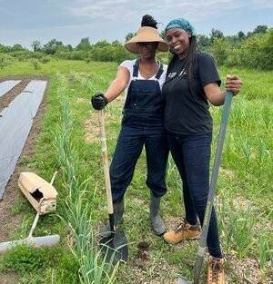 Photo supplied by Pamoja Farms