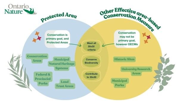 Protected Area and OECM distinguished by primary management objectives. While OECMs are not required to have conservation as a primary management goal, they are held to the same criteria as Protected Areas.