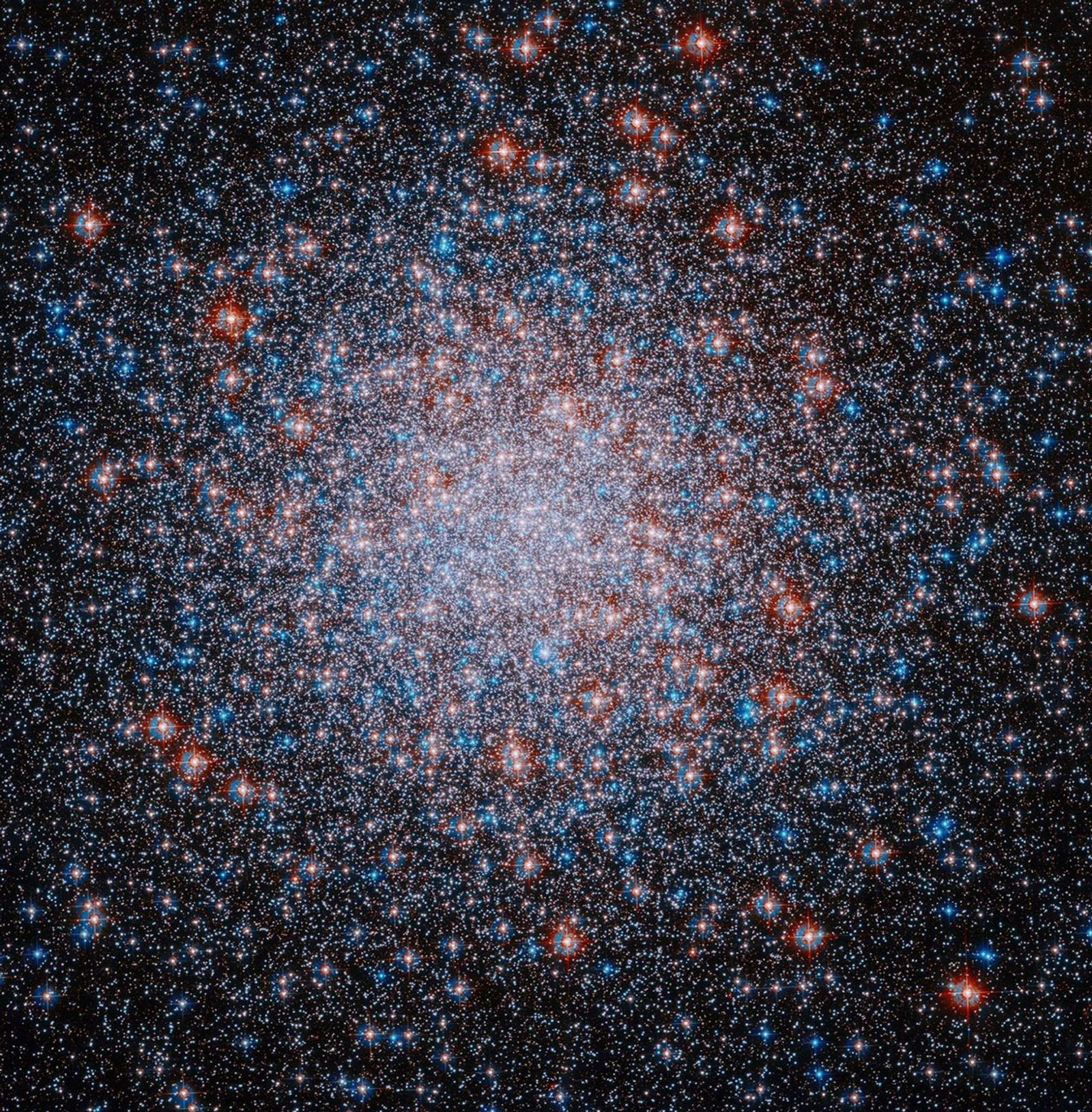 A packed, roughly spherical cluster of red, white and blue stars shines against the black background of space. The stars are clustered most densely toward the center of the cluster.