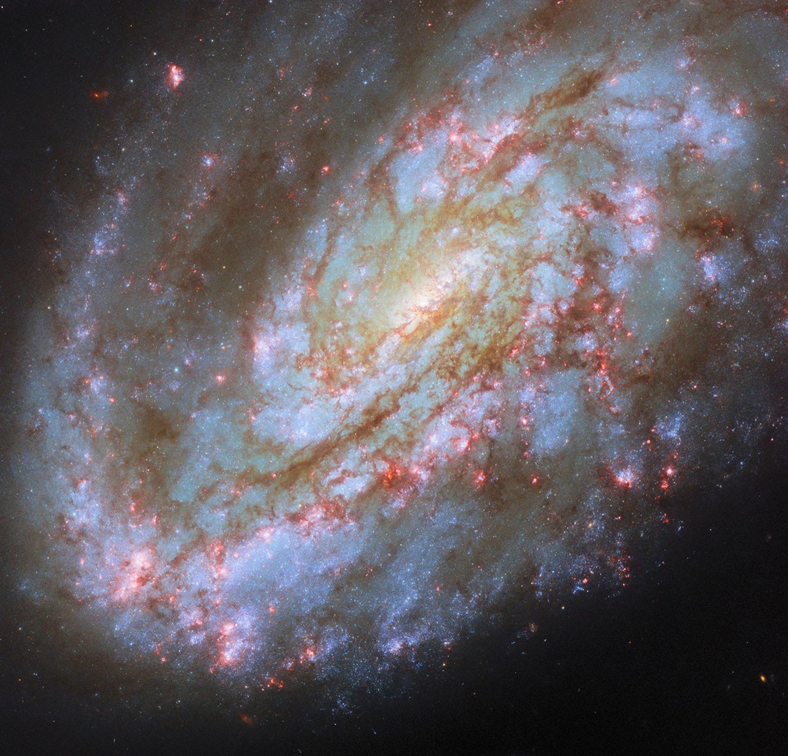 A spiral galaxy. It has a prominent spiral arm on one side (lower left) and a wide, glowing core. Dark brown filaments of dust swirl through its disk, while blue clusters of stars are visible mostly going out to its arm. On the opposite side of the arm (upper right), gas trails off from the disk, beyond the field of view in this image. A matching spiral arm is not visible on this side. The galaxy lies on a dark background.
