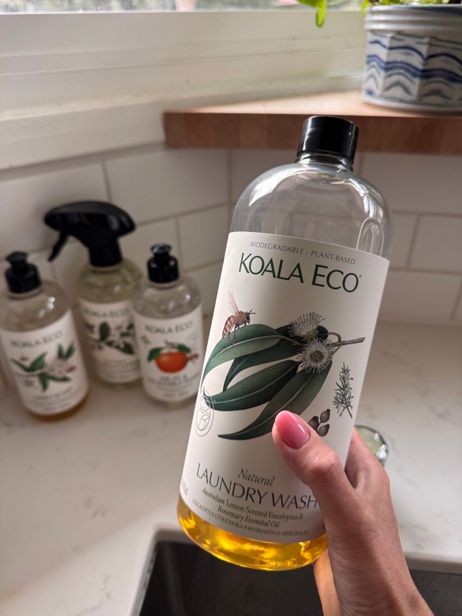 A hand holds a bottle of Koala Eco Natural Laundry Wash above a kitchen sink, with two other Koala Eco bottles and a potted plant in the background.