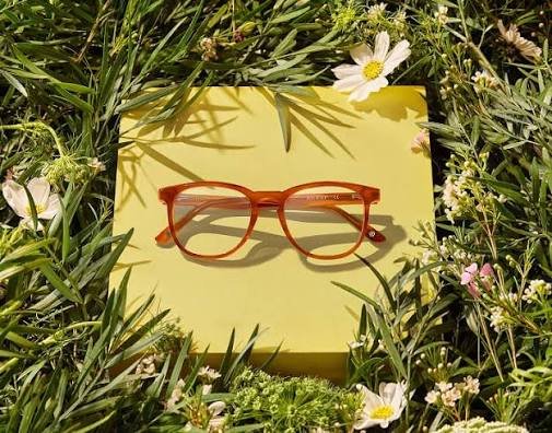 Orange-framed eyeglasses placed on a yellow square surface, surrounded by green grass and white flowers—capture this fresh look, perfect for July sales.