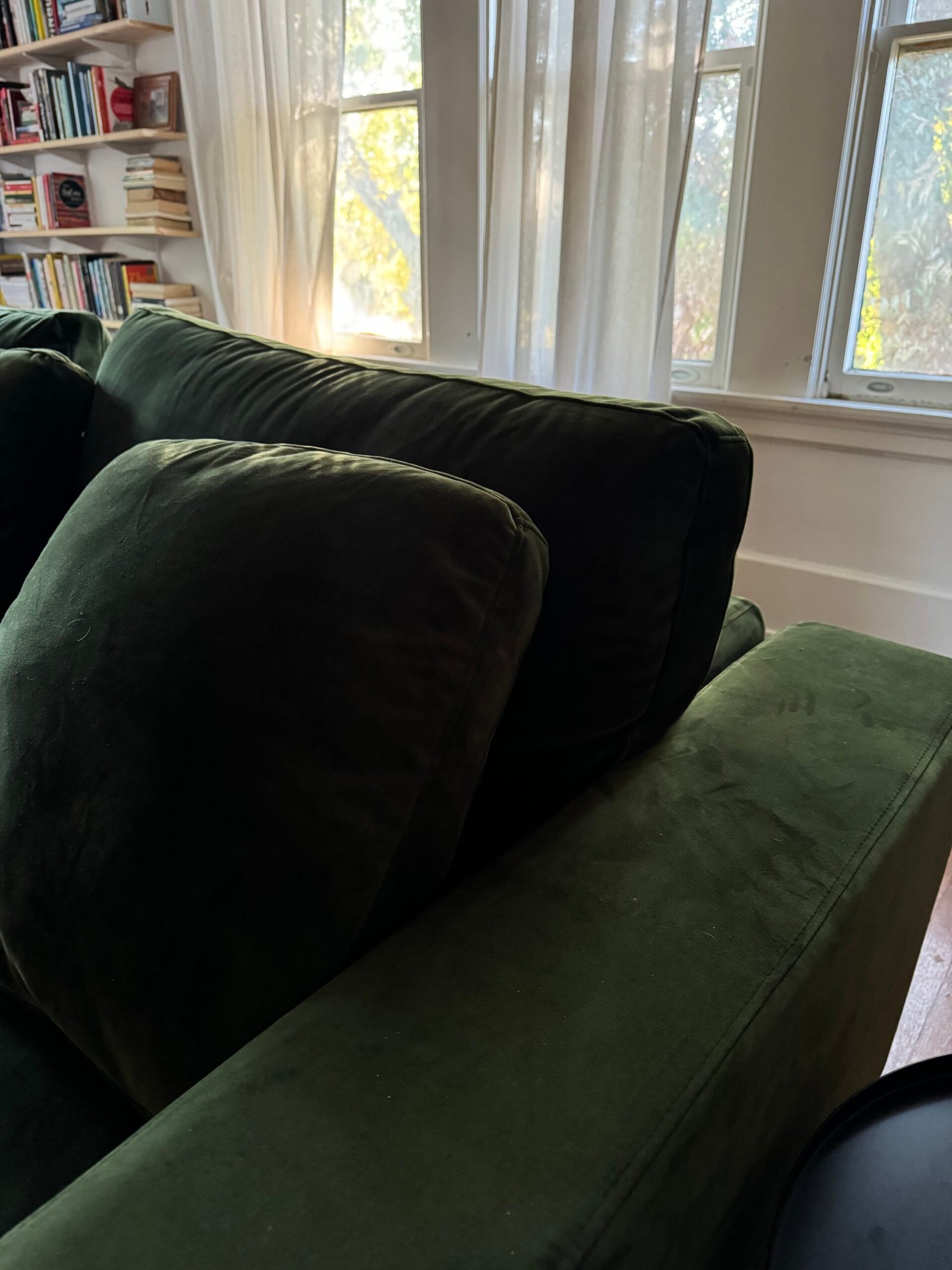A green couch in a sunlit room with bookshelves and sheer curtains in the background.
