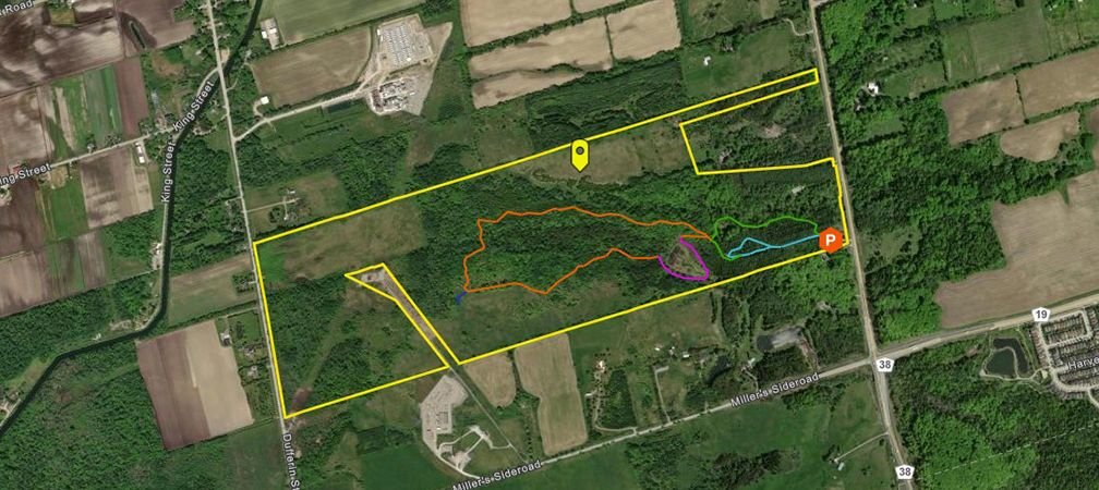 Cawthra Mulock Nature Reserve has five trails ranging in difficulty from easy to moderate