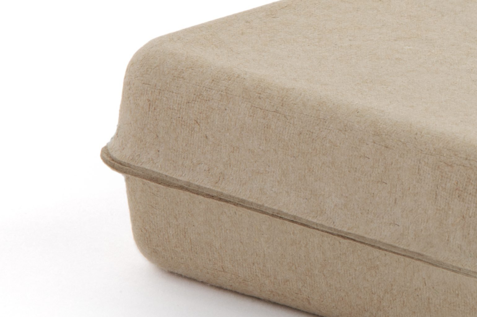 Molded pulp packaging box by s-packaging.com displayed upright on a natural stone, with embossed 'please reuse & recycle' text and leaf logo — eco-friendly sustainable packaging for brands