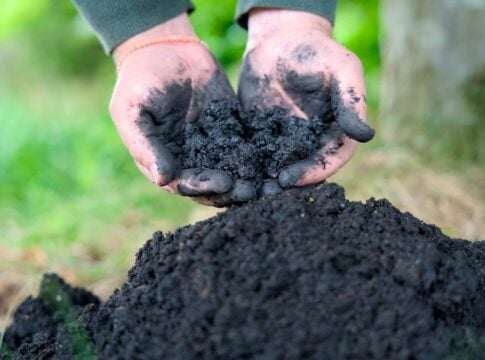 U.S. Biochar Industry Triples to $157 Million as Carbon Removal Market Gains Momentum