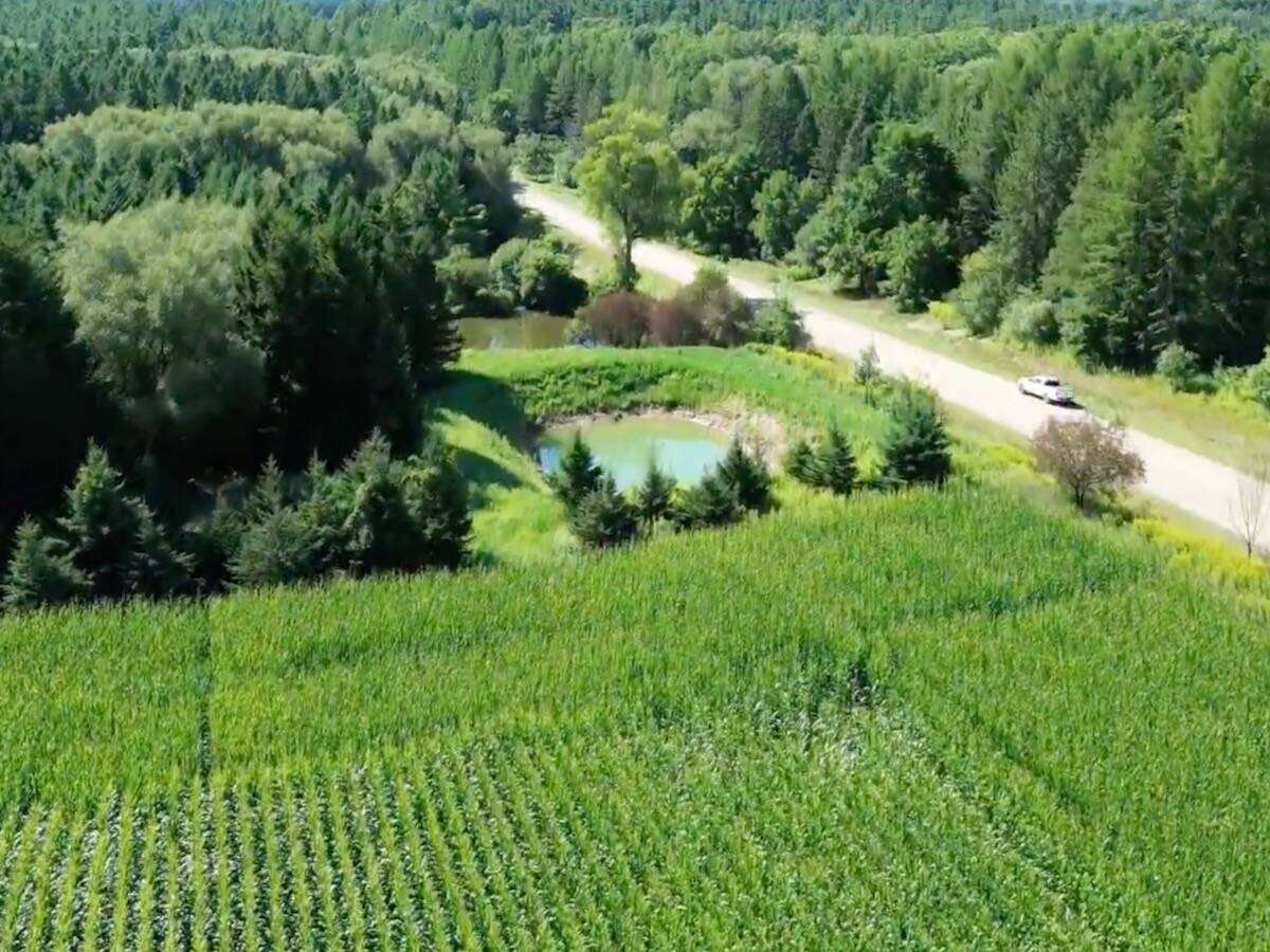 A pond is set up at the lowest corner of the Wildwood field to collect the water from its drainage tiles for reuse. Photo: UTRCA video screengrab via YouTube