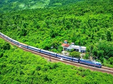 Vietnam Earns $56.5M From Forest Carbon Credits Paid by The World Bank