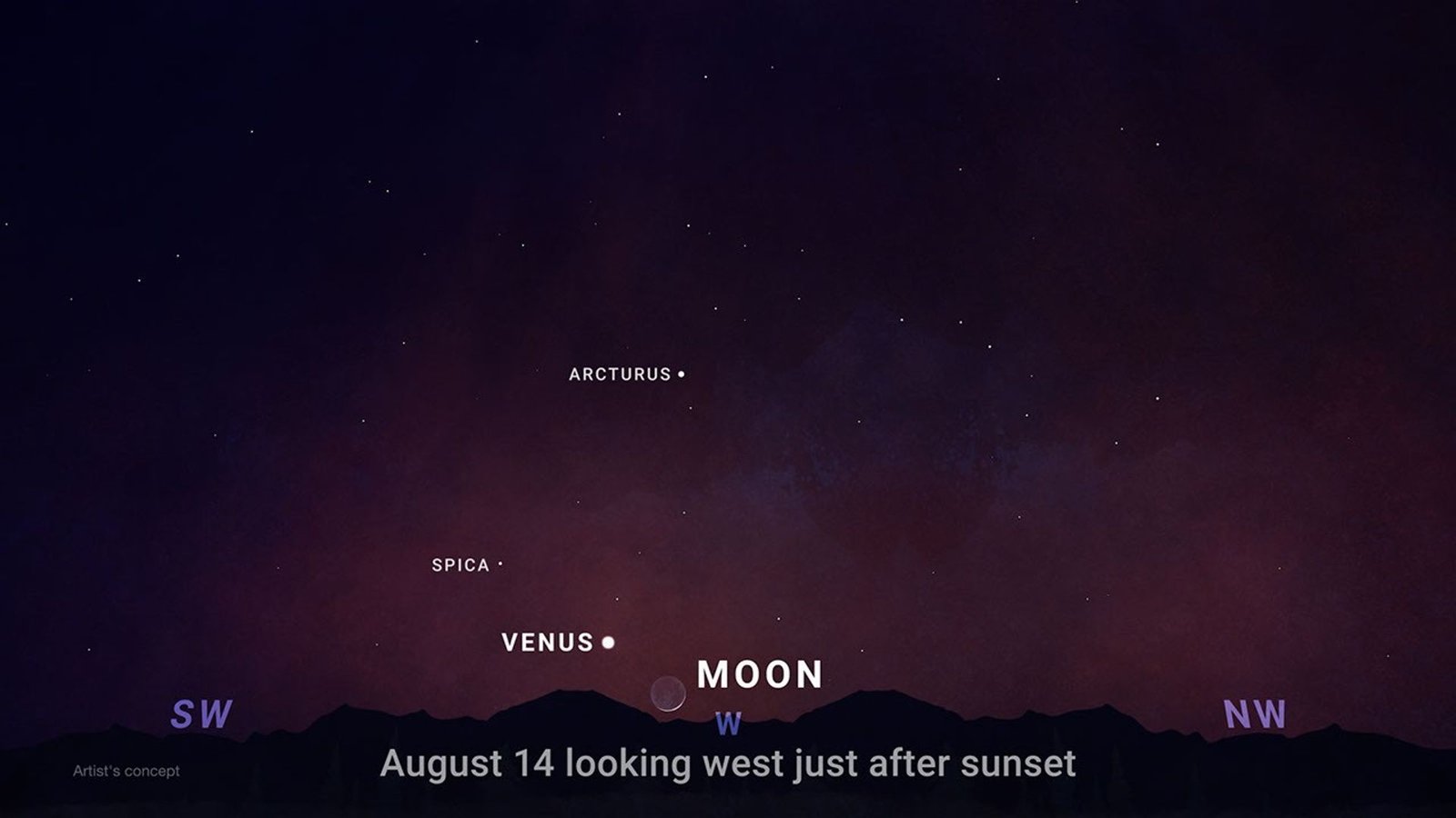 An illustration of the evening sky shortly after sunset, showing the positions of celestial objects. Text at the bottom center reads 'August 14 looking west just after sunset'. The bottom edge features a silhouetted, dark horizon of hills or mountains. Above the horizon, compass directions are indicated in purple: 'SW' (Southwest) on the left, 'W' (West) in the center, and 'NW' (Northwest) on the right. In the center, sitting very low on the horizon, is a faint crescent moon, labeled 'MOON'. Just to the left and slightly above the moon is a bright, white dot labeled 'VENUS'. Higher up and to the left of Venus is a smaller white dot labeled 'SPICA'. Above and to the right of Spica, towards the center of the image, is another labeled star, 'ARCTURUS'. The sky transitions from a deep reddish-purple near the horizon to dark blue at the top, sprinkled with numerous faint stars. In the bottom left corner, small text reads 'Artist's concept.'