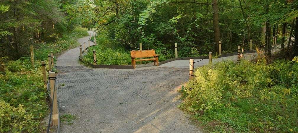 Accessible trail through a biodiverse forest at Cawthra Mulock Nature Reserve with benches, a wide level trail and guide ropes