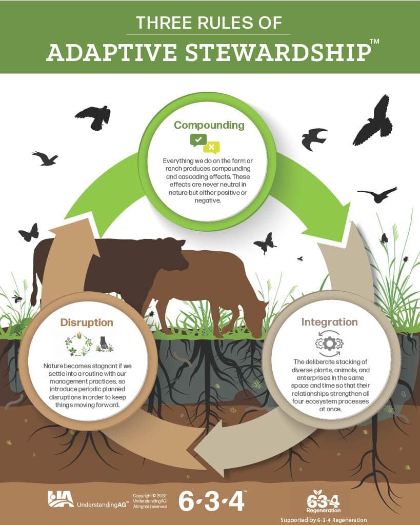 3 Rules of Adaptive Stewardship 6-3-4TM