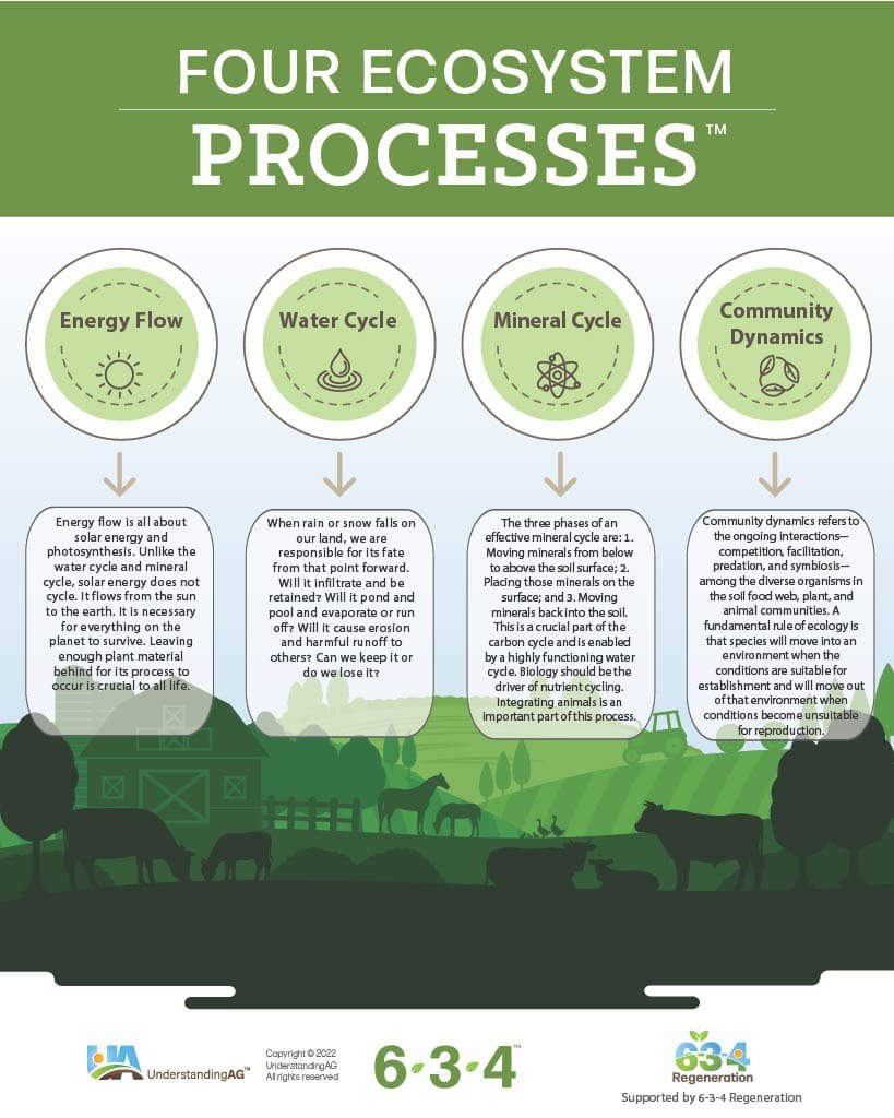 Four Ecosystem Processes 6-3-4TM