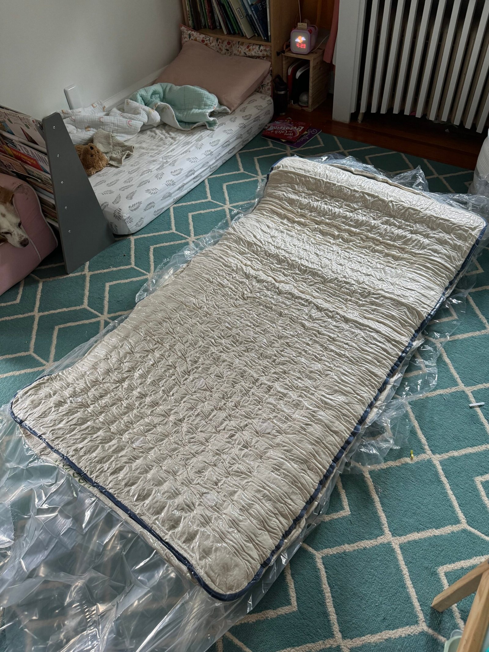 A crumpled mattress is laying on a plastic sheet, placed on a blue and white geometric rug next to a partially disassembled bed frame and shelves with stacks of books.