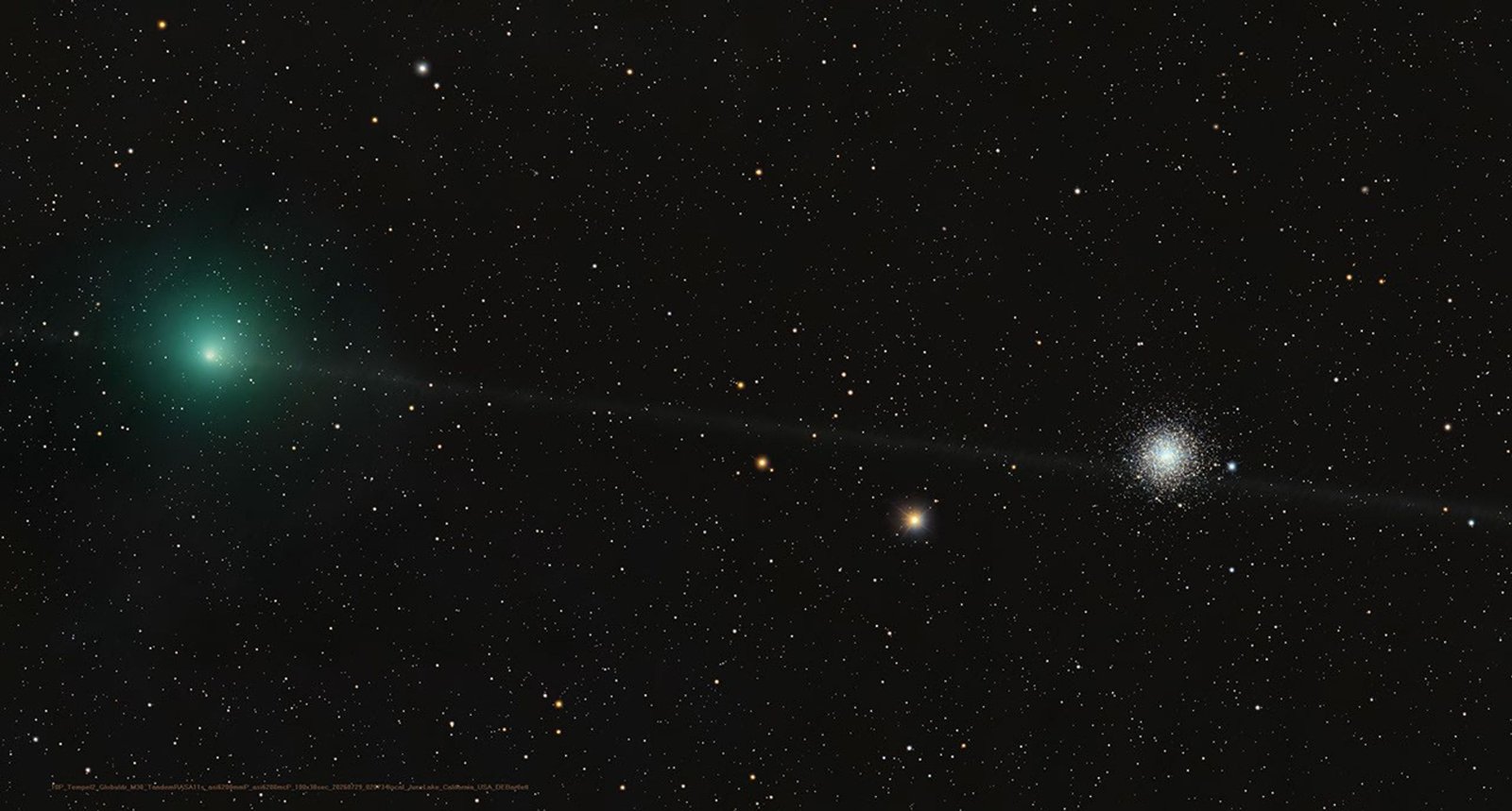 Greenish cometary coma of 10P/Tempel 2 and globular star cluster M30