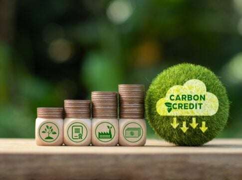 Carbon Credit Prices Explained: What Determines the Value of a Carbon Credit?