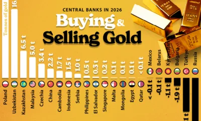 Graphic showing central banks’ gold purchases in 2026