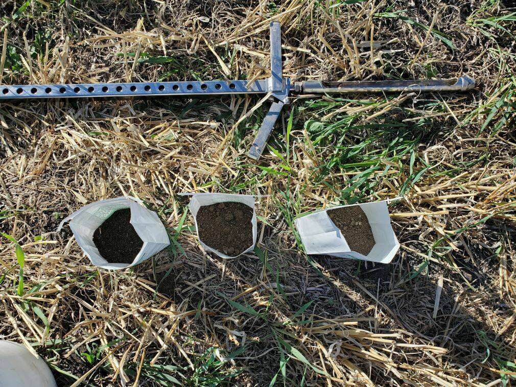 Annual soil testing helps farmers assess soil health and manage nutrients. Photo: File