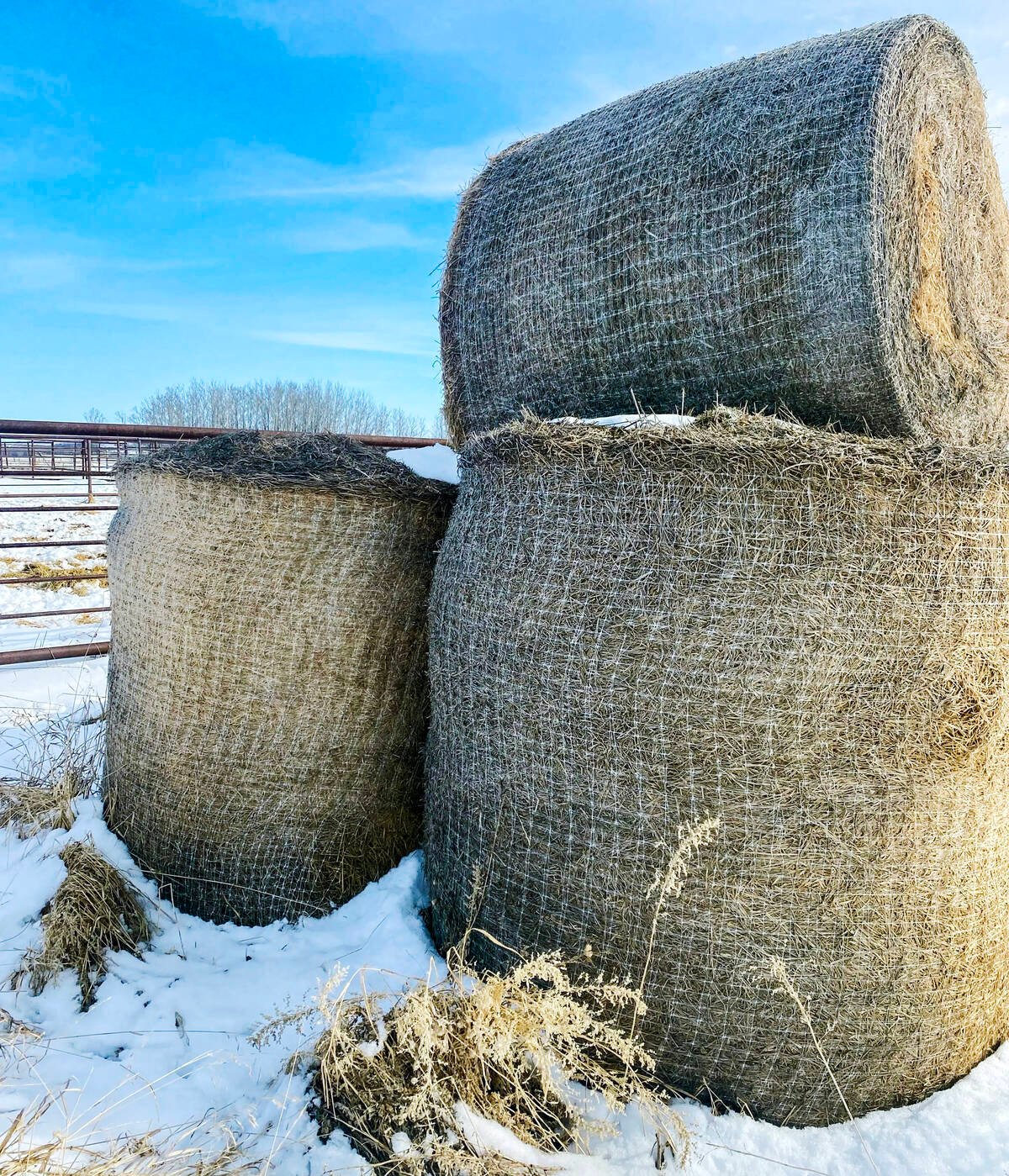Bales stacked by the mushroom method still held together after two-and-a-half years in the elements. Photo: Nature’s Net Wrap