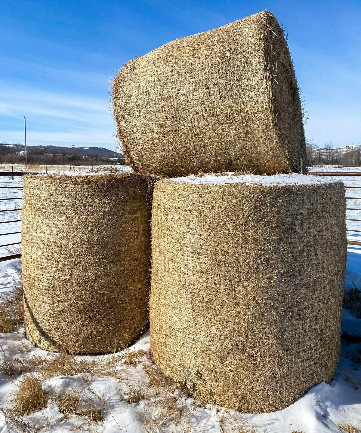 Nature’s Net Wrap after three months of exposure to the elements still holds the bale tight. Photo: Nature’s Net Wrap