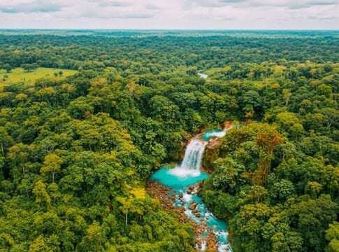 Costa Rica's Forests Deliver 10.3M Tons of Net Removals in UN-Backed REDD+ Review