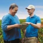 BASF Maglis grower retailer tablet