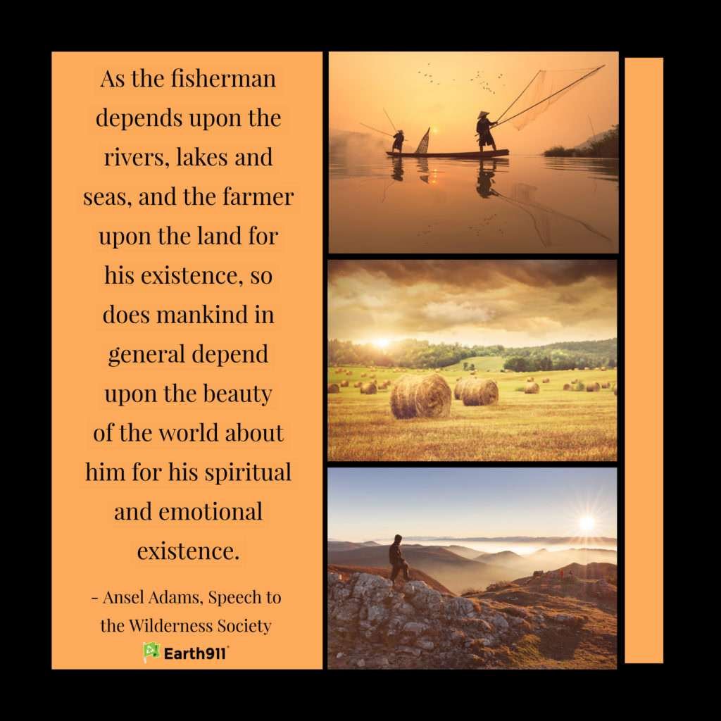 Please share our posters! Click for a higher resolution image.