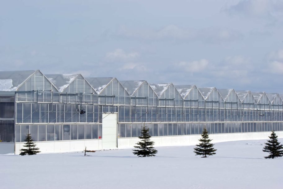 A long commercial greenhouse sits in a snow-covered field under an overcast sky. Photo: Getty Images