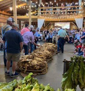 Tobacco Museum