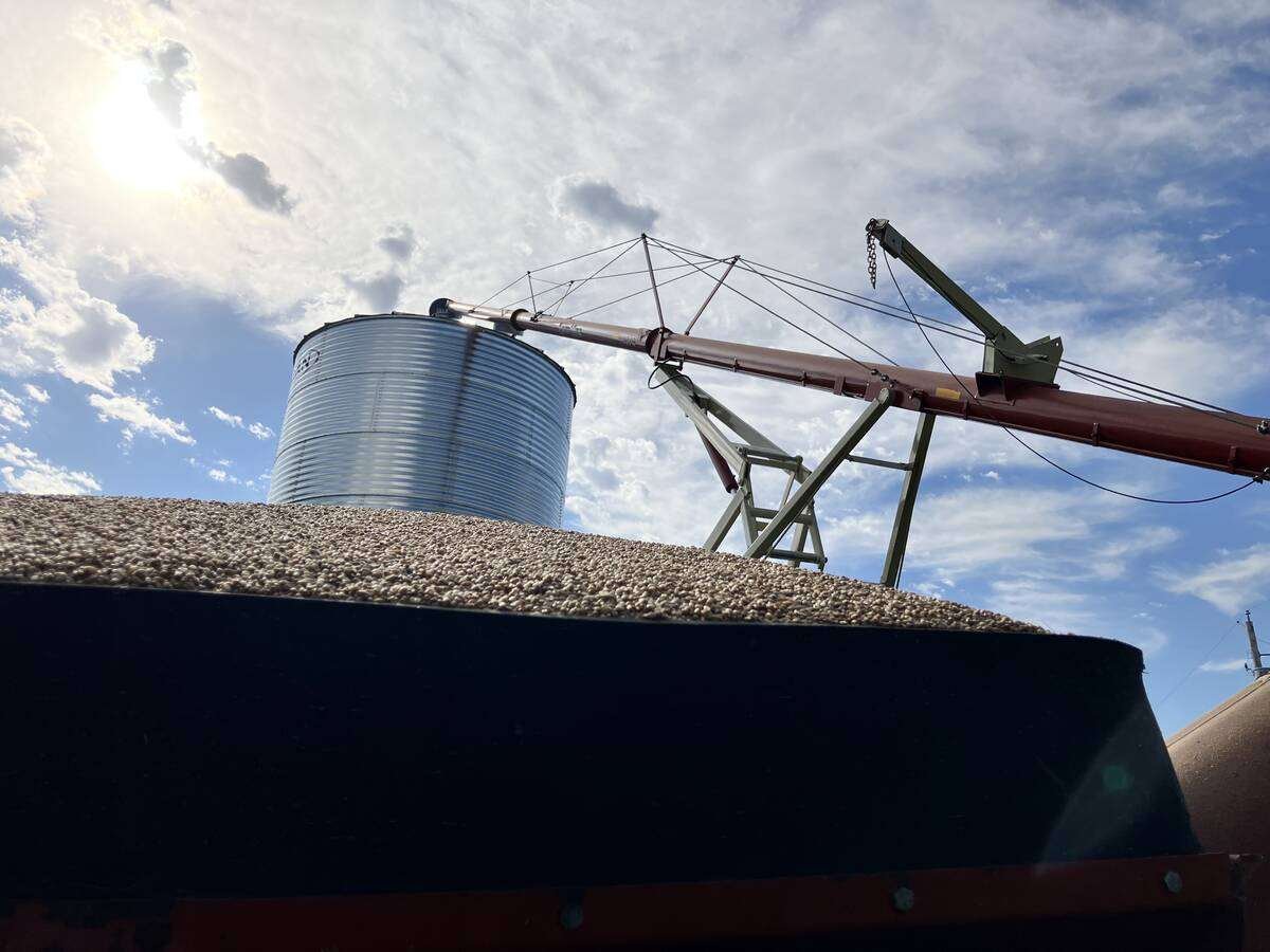 Grain entrapment and falls are two dangers to be aware of around bins. Photo: Greg Berg