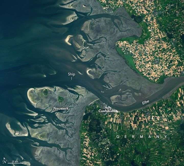 The Elbe river in Germany into the North Sea on the left side of the image. Low tide exposes wide, light-colored tidal flats interrupted by branching channels of dark water.