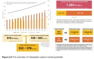 Indonesia’s carbon market potential