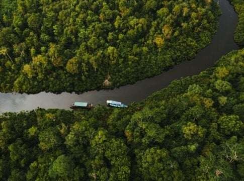 Indonesia Builds the Rulebook for Global Carbon Credit Trading Under Article 6