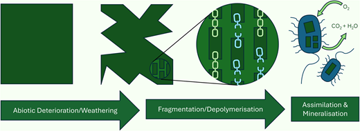 The environmental persistence of polymers in liquid formulations (PLFs) can present a significant challenge for sustainability, particularly given their widespread use and limited post-use recovery.