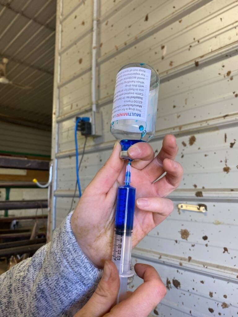A dose of Multimin 90 is measured out before injecting the trace mineral into a beef cow during a three-year study at the University of Saskatachewan’s Livestock and Forage Centre of Excellence near Clavet, Sask. Photo: Courtesy of Bart Lardner