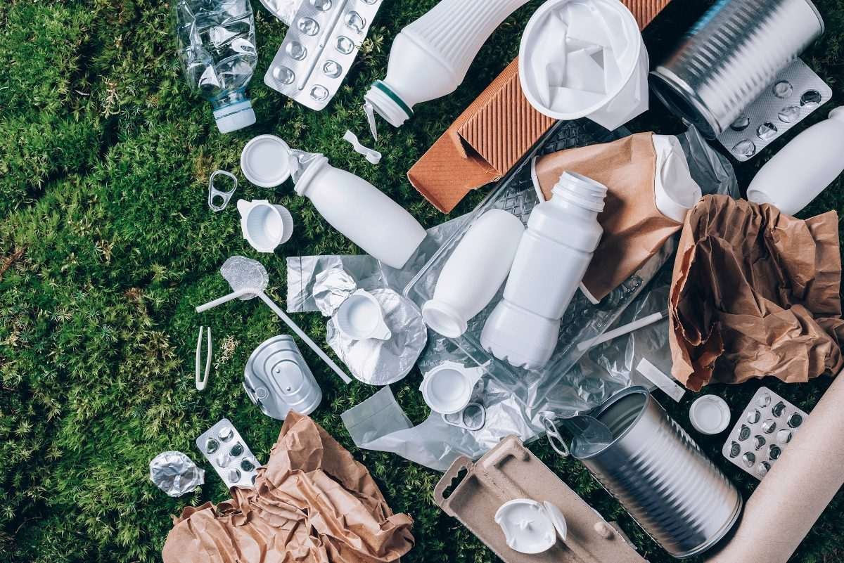 food packaging spread out on green-coloured surface